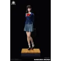 Slam Dunk Akagi Haruko DREAM Studio