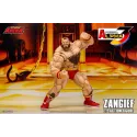 Street Fighter Alpha 3 Zangief Storm Arena