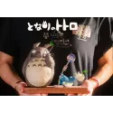 My Neighbour Totoro Totoro Strong wind warning LAPUTA Studio