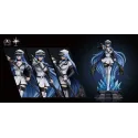 Akame Ga Kill Esdeath & Akame PG Studio × Dazzle Studio