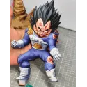 Dragon Ball Z Vegeta LP Studio