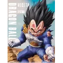 Dragon Ball Z Vegeta LP Studio