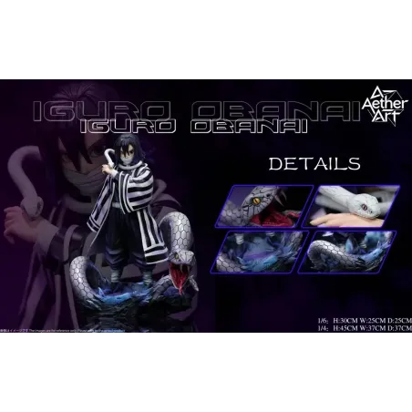 Kimetsu no Yaiba Tomika Giyuu & Iguro Obanai Aether art Studio