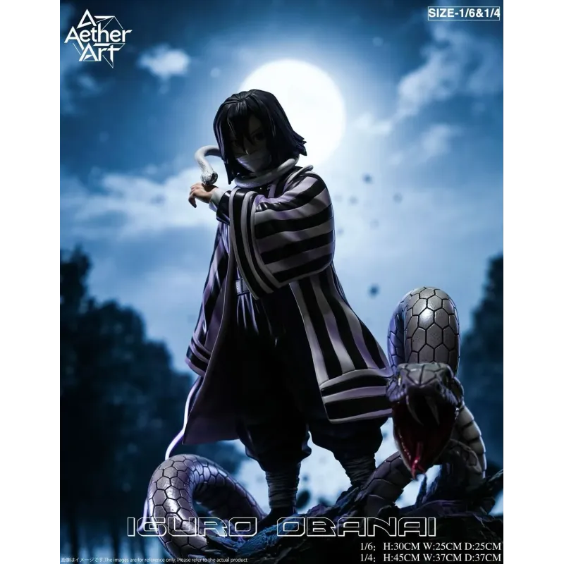 Kimetsu no Yaiba Tomika Giyuu & Iguro Obanai Aether art Studio
