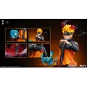 Naruto Shippuden Naruto LIU x Smoker Studio