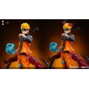 Naruto Shippuden Naruto LIU x Smoker Studio