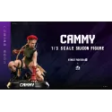 Street Fighter Cammy Infinity Studio