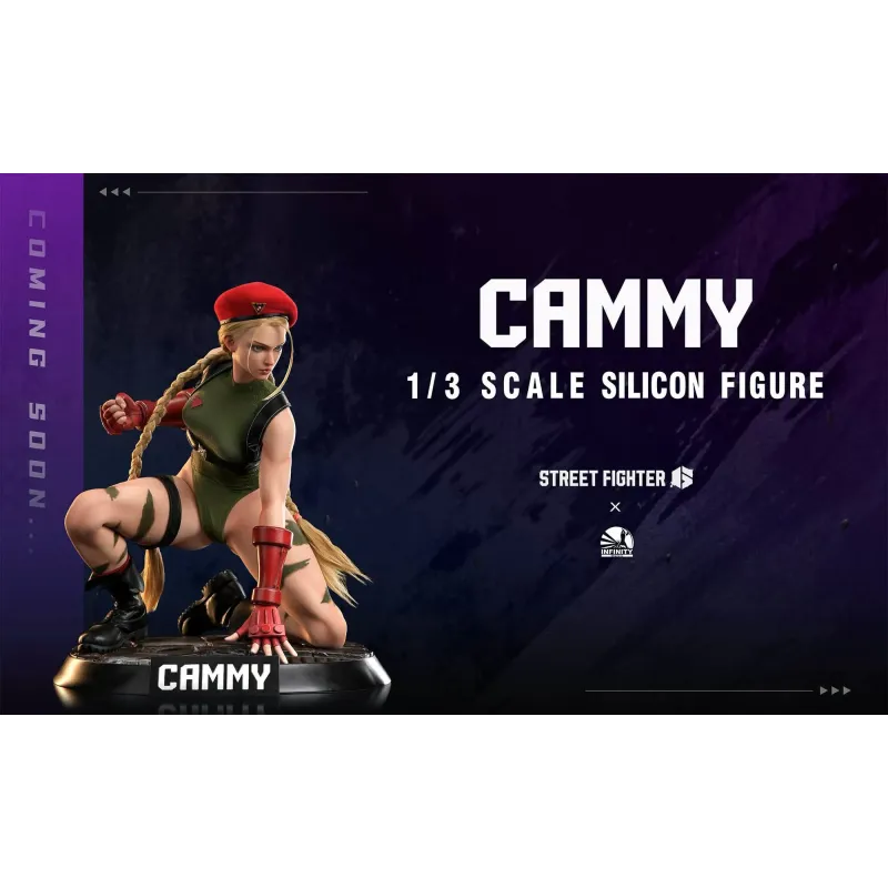 Street Fighter Cammy Infinity Studio