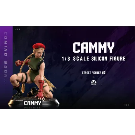 Street Fighter Cammy Infinity Studio