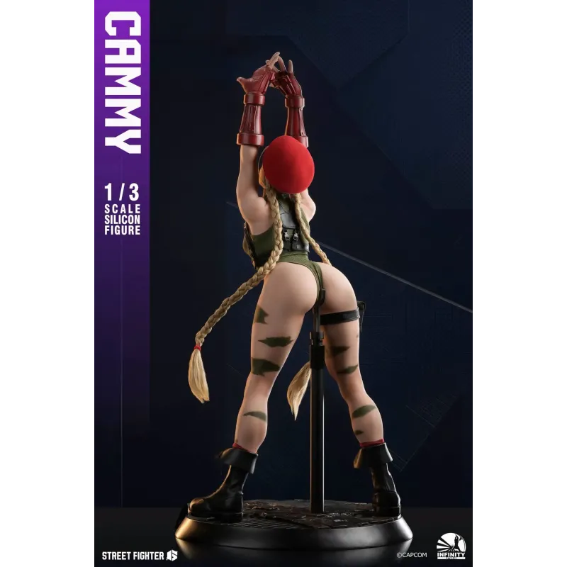 Street Fighter Cammy Infinity Studio
