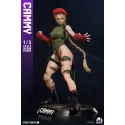 Street Fighter Cammy Infinity Studio
