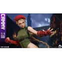 Street Fighter Cammy Infinity Studio