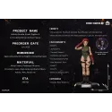 Street Fighter Cammy Infinity Studio