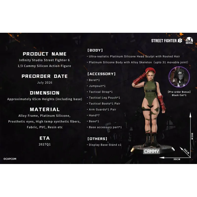 Street Fighter Cammy Infinity Studio
