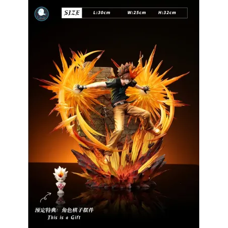 Katekyo Hitman Reborn Sawada Tsunayoshi ILL Studio