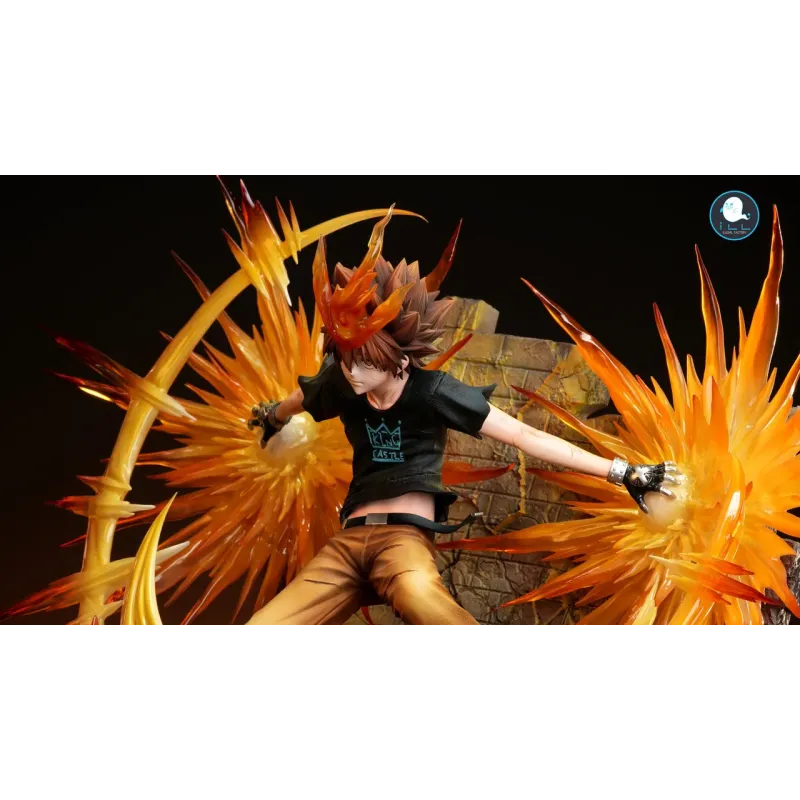 Katekyo Hitman Reborn Sawada Tsunayoshi ILL Studio