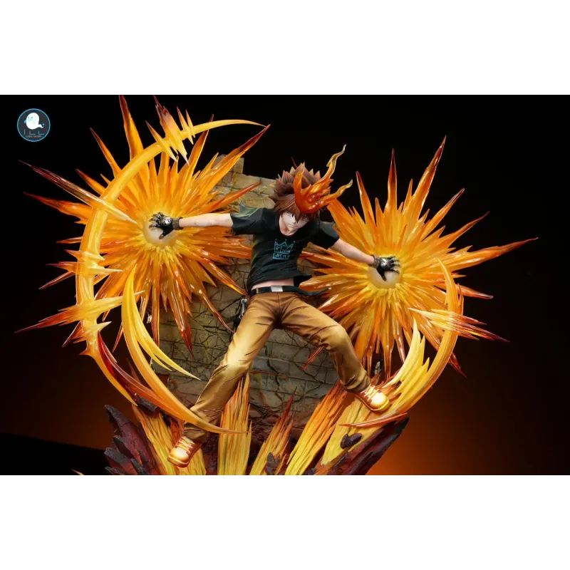 Katekyo Hitman Reborn Sawada Tsunayoshi ILL Studio