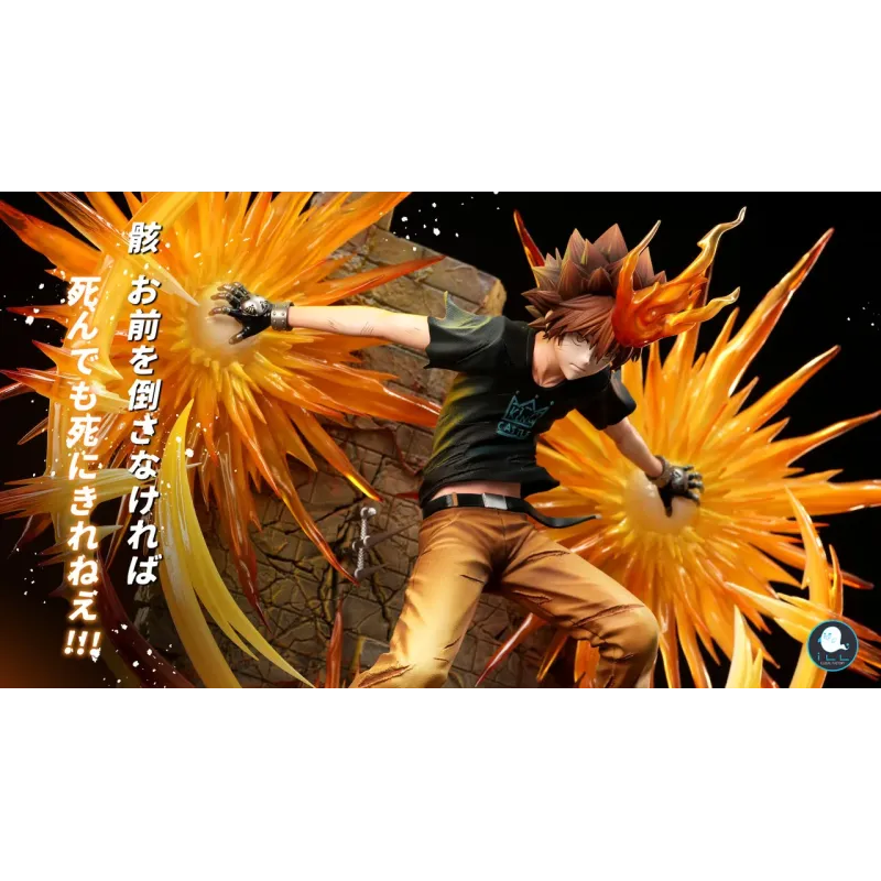 Katekyo Hitman Reborn Sawada Tsunayoshi ILL Studio