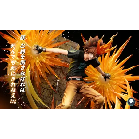 Katekyo Hitman Reborn Sawada Tsunayoshi ILL Studio
