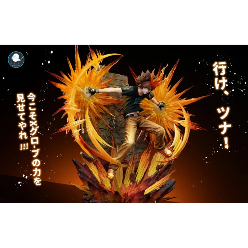 Katekyo Hitman Reborn Sawada Tsunayoshi ILL Studio