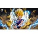 Dragon Ball Z Gohan SSJ2 Bust Kame Kame Cloud Studio