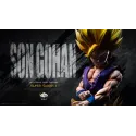 Dragon Ball Z Gohan SSJ2 Bust Kame Kame Cloud Studio