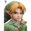 The Legend of Zelda Link Seven Studio