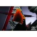 Jujutsu Kaisen Ryomen Sukuna OMG Studio