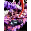Dragon Ball Z Janemba UP Studio