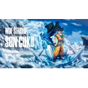 Dragon Ball Super Goku WDF Studio