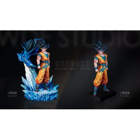 Dragon Ball Super Goku WDF Studio