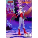 Darkstalkers Lilith Storm Arena