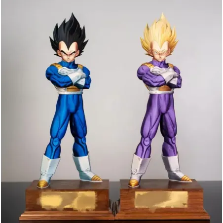 Dragon Ball Z Vegeta Juann Studio