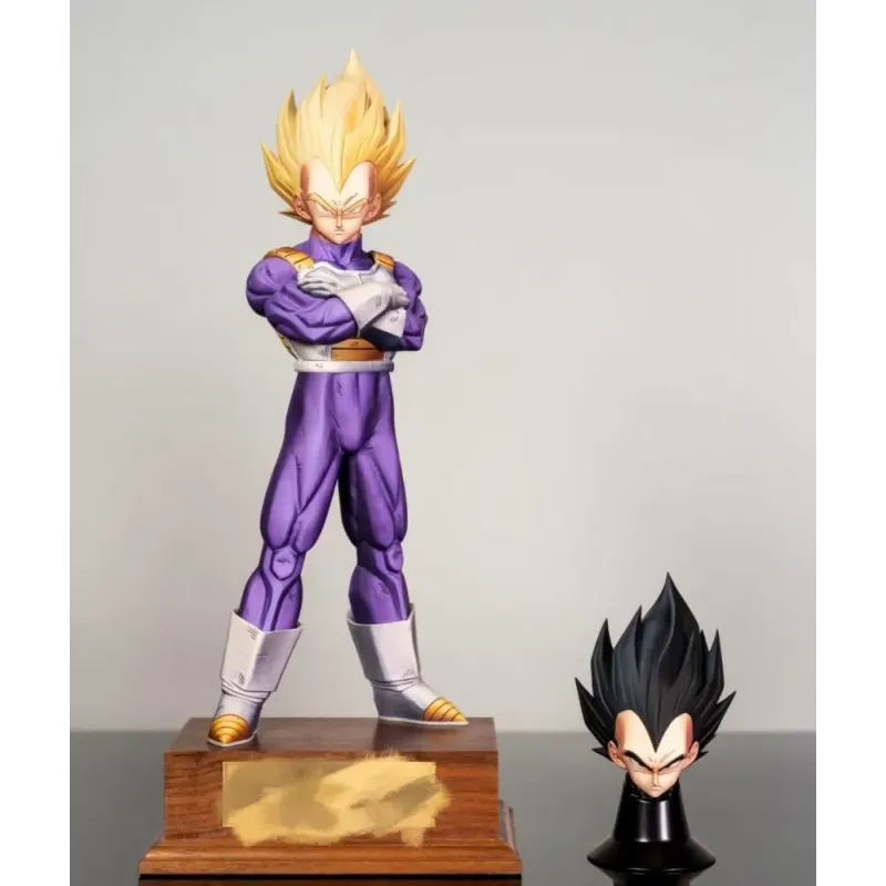 Dragon Ball Z Vegeta Juann Studio