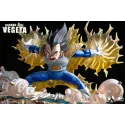 Dragon Ball Z Vegeta INS x LP Studio