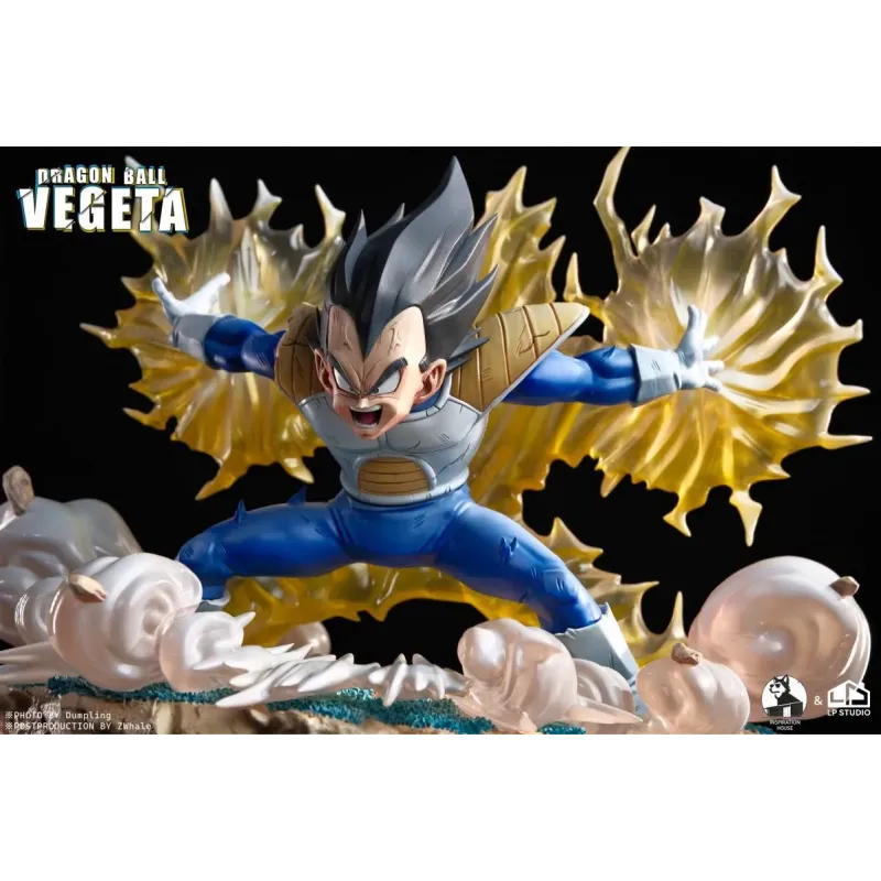 Dragon Ball Z Vegeta INS x LP Studio