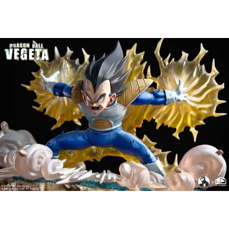 Dragon Ball Z Vegeta INS x LP Studio