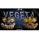 Dragon Ball Z Vegeta INS x LP Studio