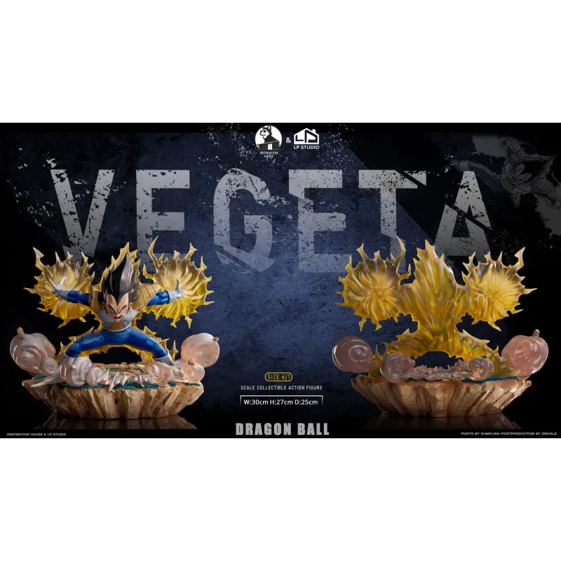 Dragon Ball Z Vegeta INS x LP Studio