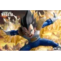 Dragon Ball Z Vegeta INS x LP Studio