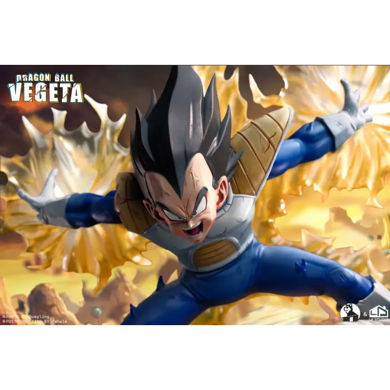 Dragon Ball Z Vegeta INS x LP Studio
