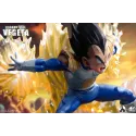 Dragon Ball Z Vegeta INS x LP Studio
