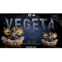 Dragon Ball Z Vegeta INS x LP Studio