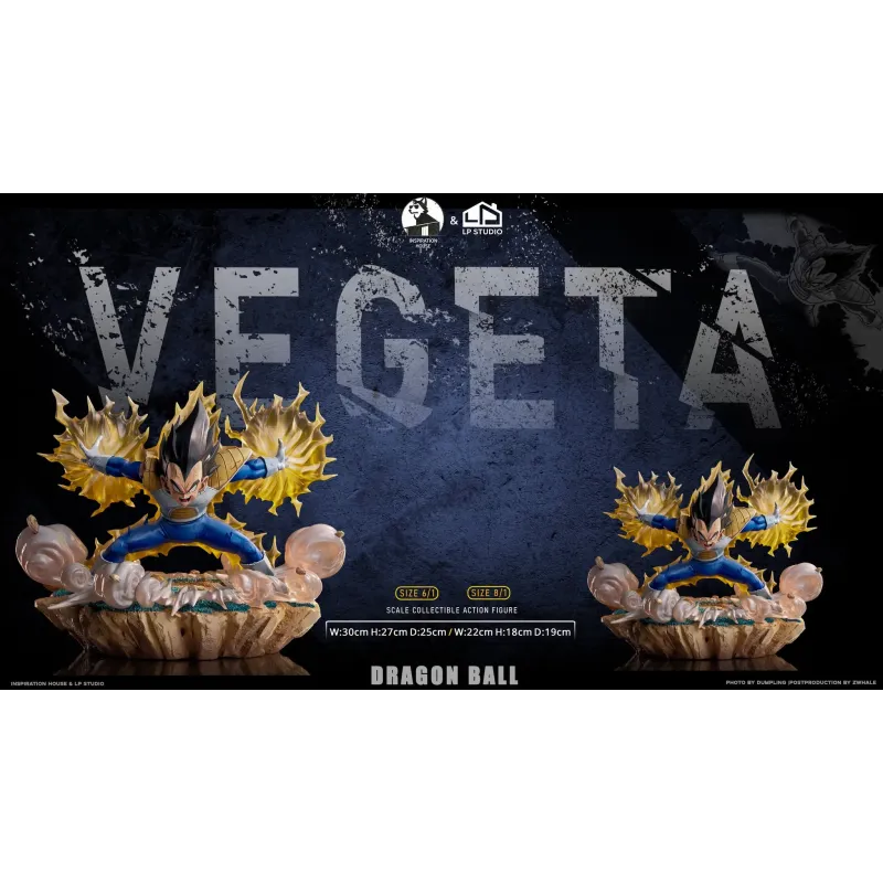 Dragon Ball Z Vegeta INS x LP Studio