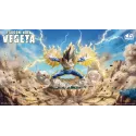 Dragon Ball Z Vegeta INS x LP Studio