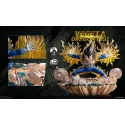 Dragon Ball Z Vegeta INS x LP Studio