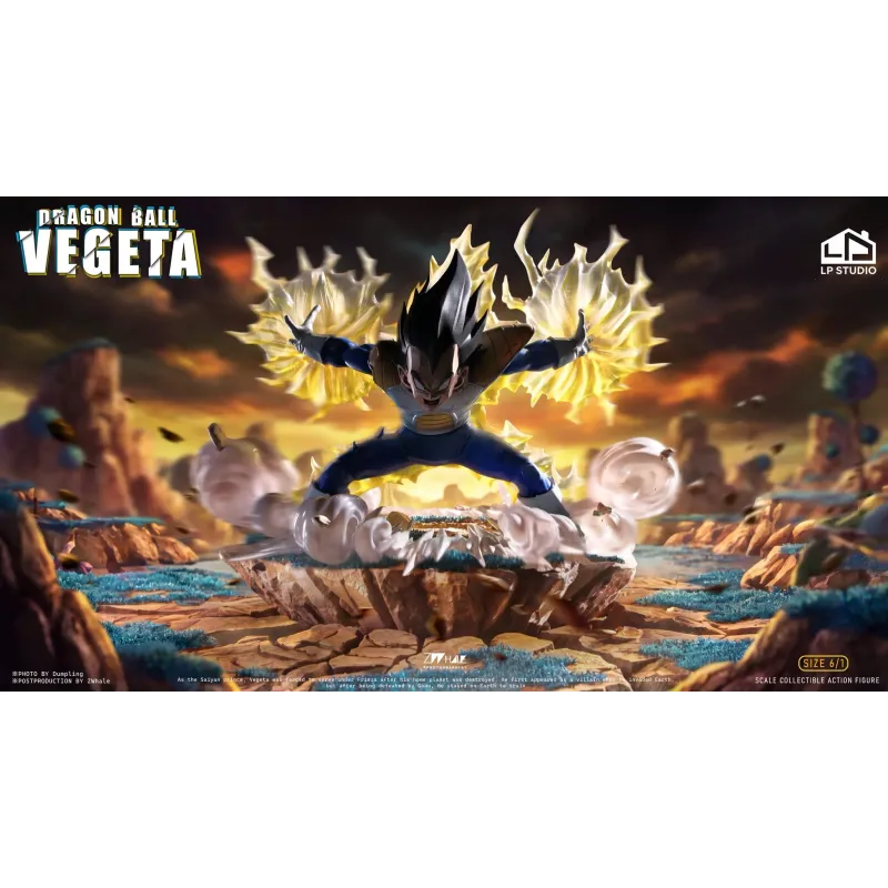 Dragon Ball Z Vegeta INS x LP Studio