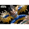 Dragon Ball Z Vegeta INS x LP Studio