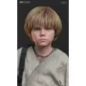Star Wars Young Anakin Skywalker X Watto - JND Studio Collector