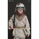Star Wars Young Anakin Skywalker X Watto - JND Studio Collector